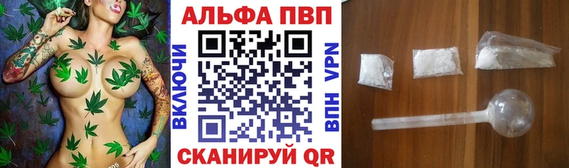 A PVP СК КРИС  Вихоревка 